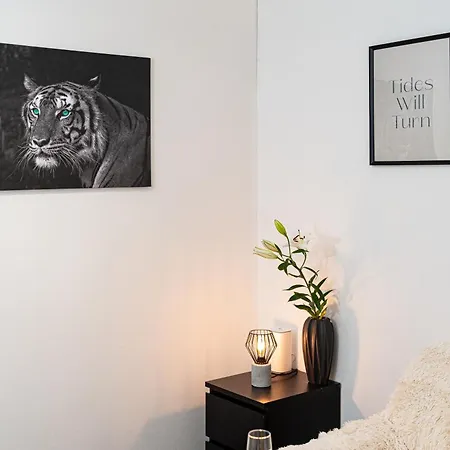 Apartmán Penthouse Tiger Deluxe Praha